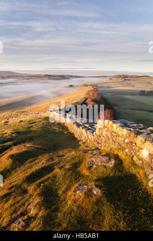 Mur d'Hadrien, à l'écart des TCA au lever du soleil d'une lumière dorée et la lumière brouillard dans la vallée de l'avant en décembre dans le Northumberland Banque D'Images