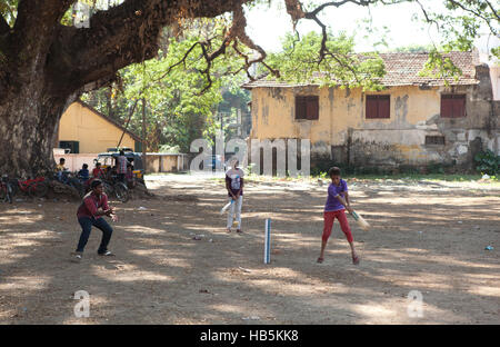 Les garçons à jouer au cricket, à l'ombre d'un grand arbre à fort Kochi (Cochin), Kerala, Inde Banque D'Images