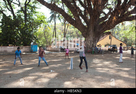 Les garçons à jouer au cricket, à l'ombre d'un grand arbre à fort Kochi (Cochin), Kerala, Inde Banque D'Images