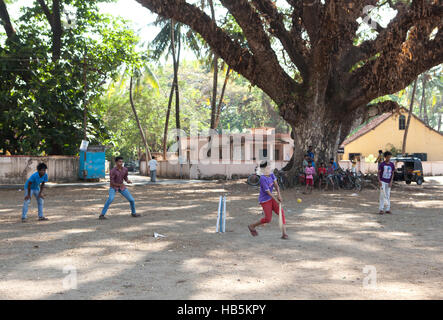 Les garçons à jouer au cricket, à l'ombre d'un grand arbre à fort Kochi (Cochin), Kerala, Inde Banque D'Images