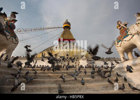 Stupa de Boudhanath et les oiseaux Banque D'Images