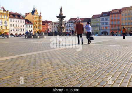 Place de la vieille ville de Budejovice, République tchèque, avec un chien en train de marcher au-delà de l'architecture baroque. Banque D'Images