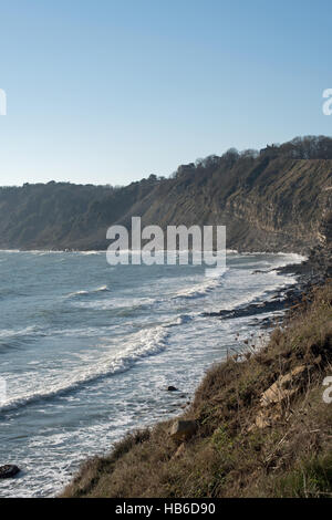 Falaises de Durlston, vu de Peveril of the Pint, Swanage, Dorset, UK Banque D'Images