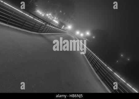 Photo de nuit du pont de pierre à Regensburg avec brouillard Banque D'Images