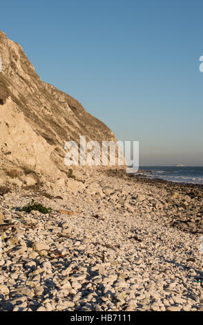 Falaise Ballard, Swanage, Dorset Banque D'Images