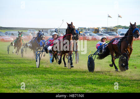 Un harnais de course qui s'est tenue à Pikehall. Poids légers chariots à deux roues, carrière, sulkys utilisés sur piste Banque D'Images