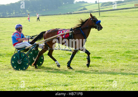 Pikehall, dans le Peak District Anglais faisceau hôtes pacer racing. Ici, un jockey sur son sulky se prépare pour la prochaine course. Banque D'Images