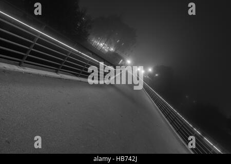 Photo de nuit du pont de pierre à Regensburg avec brouillard Banque D'Images