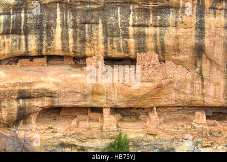 Ruines Anasazi, Temple du feu, Mesa Verde National Park, site du patrimoine mondial de l'UNESCO, 600 A.D. - 1 300 A.D., Colorado, USA Banque D'Images