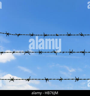 Fil de fer barbelé Banque D'Images