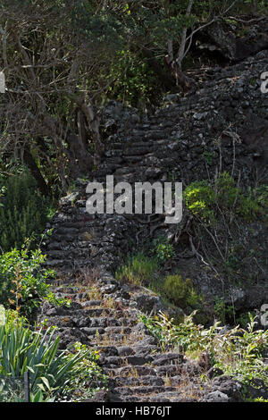 Escaliers en pierre de basalte sur l'île de Pico, Açores Banque D'Images