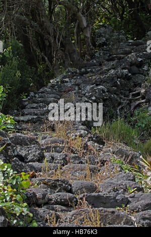 Escaliers en pierre de basalte sur l'île de Pico, Açores Banque D'Images