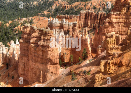 Les cheminées de repris de la Rim Trail près de Sunset Point, Bryce Canyon National Park, Utah, USA Banque D'Images