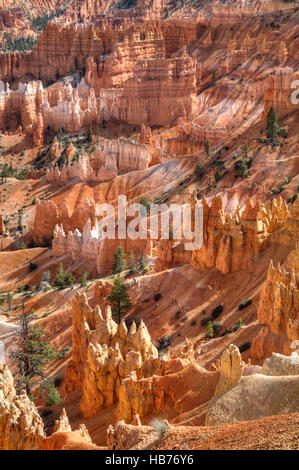 Les cheminées de repris de la Rim Trail près de Sunset Point, Bryce Canyon National Park, Utah, USA Banque D'Images