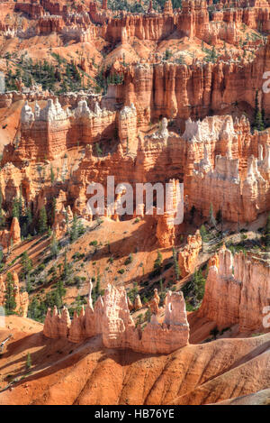 Les cheminées de repris de la Rim Trail près de Sunset Point, Bryce Canyon National Park, Utah, USA Banque D'Images