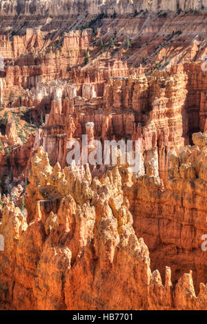 Les cheminées de repris de la Rim Trail près de Sunset Point, Bryce Canyon National Park, Utah, USA Banque D'Images