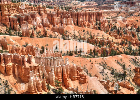 Les cheminées de repris de la Rim Trail près de Sunset Point, Bryce Canyon National Park, Utah, USA Banque D'Images