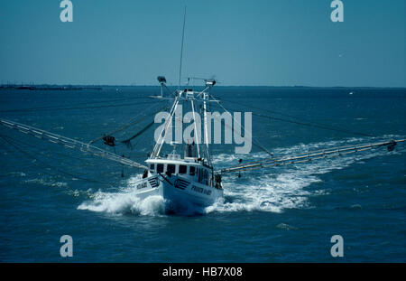 Les crevettes et les bateaux de pêche d'Huîtres et fruits de mer sauvages capturés Banque D'Images