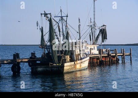 Les crevettes et les bateaux de pêche d'Huîtres et fruits de mer sauvages capturés Banque D'Images