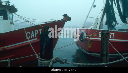 Les crevettes et les bateaux de pêche d'Huîtres et fruits de mer sauvages capturés Banque D'Images