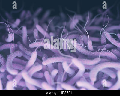 Vibrio cholerae, les bactéries Gram-négatives. 3D illustration de bactéries avec des flagelles. Banque D'Images