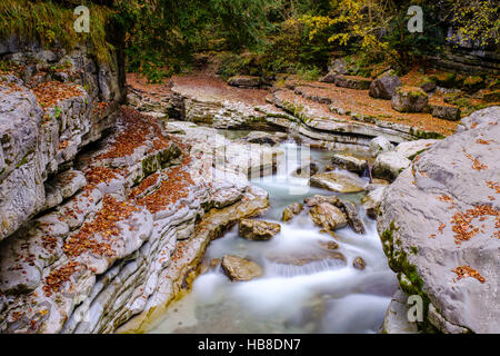 Flux, Menfi, Tauglbach Tauglgries, réserve naturelle, Bad Vigaun, District de Hallein, Salzbourg, Autriche Banque D'Images