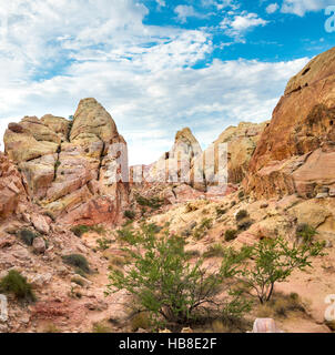 Des formations de roche rouge-orange, de grès, de coupoles blanches Trail, Vallée de Feu, le parc désert de Mojave, Nevada, USA Banque D'Images