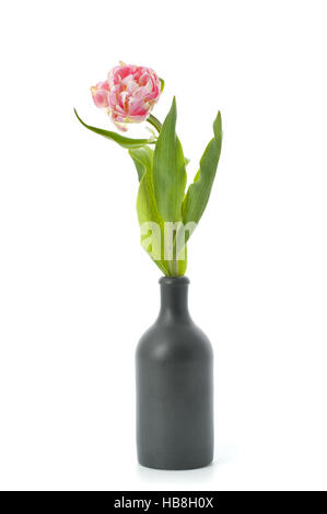 Pale rose tulipes dans un vase noir. Banque D'Images