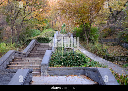 Étapes menant à la montagne de Namsan N Séoul tour à Séoul, Corée du Sud Banque D'Images