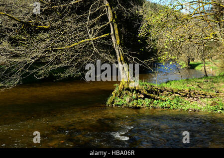 Forêt Noire, Allemagne, rivière Wutach, canyon Banque D'Images