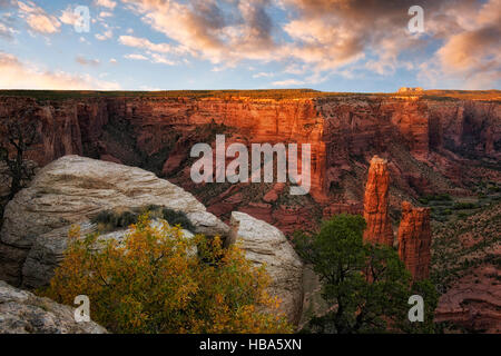 La lueur de l'automne coucher de soleil sur l'Arizona's Canyon de Chelly National Monument avec la spire de grès de Spider Rock. Banque D'Images