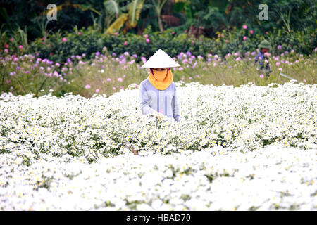 Vietnam femme avec fleur de lotus Banque D'Images