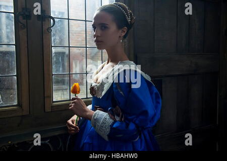 DATE DE SORTIE : Février 24, 2017 Title : Tulip Fever STUDIO : Weinstein Company Réalisateur : Justin Chadwick PLOT : Un artiste tombe pour une jeune femme mariée pendant qu'il est commandé de peindre son portrait au cours de la manie des tulipes d'Amsterdam du 17 è siècle avec : Alicia Vikander (Crédit : magnus Magnolia Pictures/images/) Banque D'Images