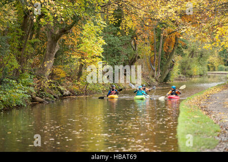 Quatre kayakistes pagayant sur la rivière Dee, Llangollen, Nord du Pays de Galles Banque D'Images