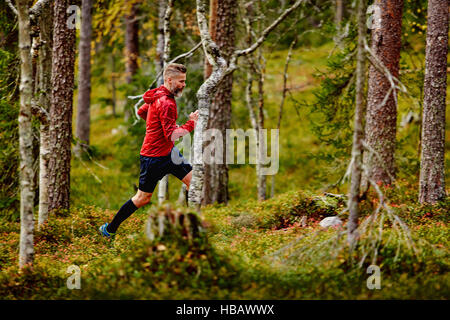 Homme qui court dans la forêt, Kesankitunturi, Laponie, Finlande Banque D'Images