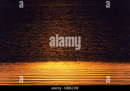 Les vagues dans la lumière du soir Banque D'Images