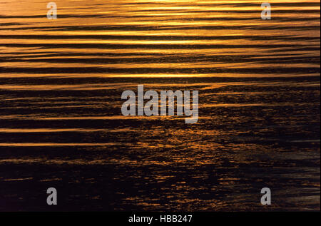 Les vagues dans la lumière du soir Banque D'Images