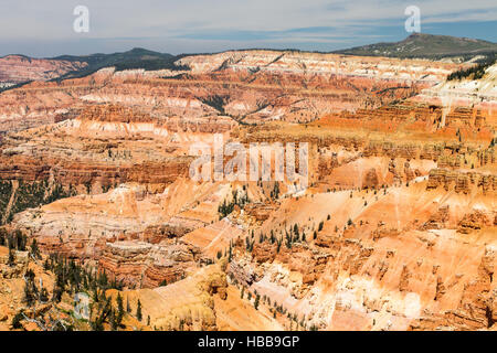 Cedar Breaks 13 Banque D'Images