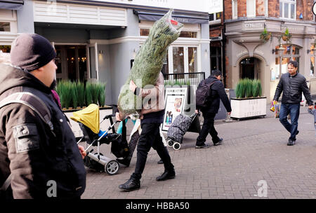 Homme avec sa famille portant un arbre de Noël réel nouvellement acheté à Sutton Surrey, Royaume-Uni