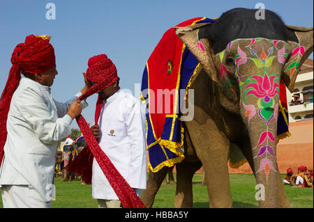 Inde, Rajasthan, Jaipur, le festival des éléphants qui se deroule lors de la fête de Holi. // L'Inde, Rajasthan, Jaipur, le festival de l'éléphant. Banque D'Images