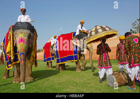 Inde, Rajasthan, Jaipur, le festival des éléphants qui se deroule lors de la fête de Holi. // L'Inde, Rajasthan, Jaipur, le festival de l'éléphant. Banque D'Images