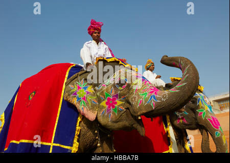 Inde, Rajasthan, Jaipur, le festival des éléphants qui se deroule lors de la fête de Holi. // L'Inde, Rajasthan, Jaipur, le festival de l'éléphant. Banque D'Images