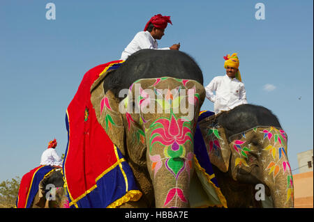 Inde, Rajasthan, Jaipur, le festival des éléphants qui se deroule lors de la fête de Holi. // L'Inde, Rajasthan, Jaipur, le festival de l'éléphant. Banque D'Images