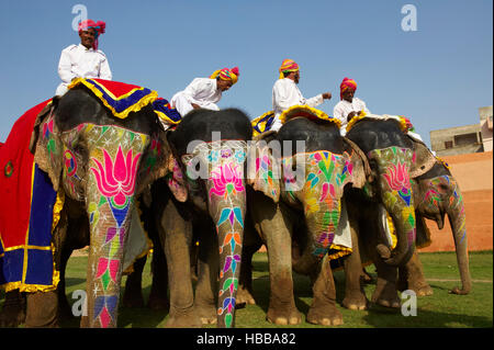 Inde, Rajasthan, Jaipur, le festival des éléphants qui se deroule lors de la fête de Holi. // L'Inde, Rajasthan, Jaipur, le festival de l'éléphant. Banque D'Images