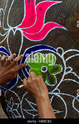 Inde, Rajasthan, Jaipur, peinture et decoration des éléphants pour le festival des éléphants. // L'Inde, Rajasthan, Jaipur, la peinture de l'éléphant fo Banque D'Images