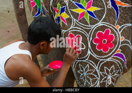 Inde, Rajasthan, Jaipur, peinture et decoration des éléphants pour le festival des éléphants. // L'Inde, Rajasthan, Jaipur, la peinture de l'éléphant fo Banque D'Images