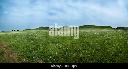 Bashang herbage, Mulan Weichang, plateau de Mongolie intérieure, Province de Hebei, Chine Banque D'Images