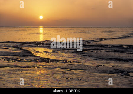 Tideway dans le coucher du soleil à côte de la mer du Nord Banque D'Images