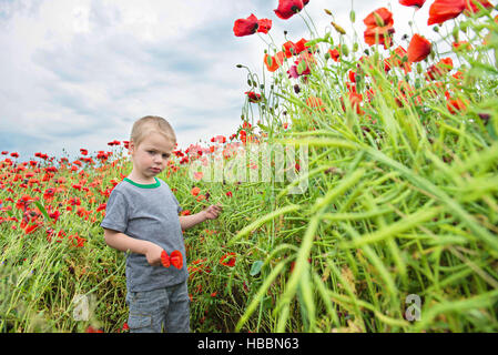 Petit garçon dans le champ avec red poppies Banque D'Images