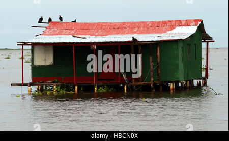 Congo El Mirador, Zulia, Venezuela. 23 Oct, 2005. Une maison de pêcheurs, situé dans le lac, dans le Congo Mirador, au sud du lac Maracaibo, où la chute de l'lightni ng Catatumbo au Venezuela est mieux apprécié © Juan Carlos Hernandez/ZUMA/Alamy Fil Live News Banque D'Images